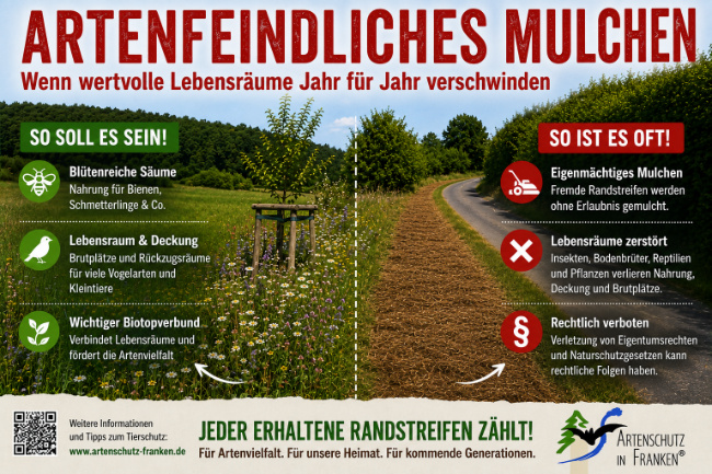 Bild zum Eintrag (1146536-160)