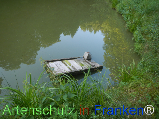 Bild zum Eintrag (1147018-160)