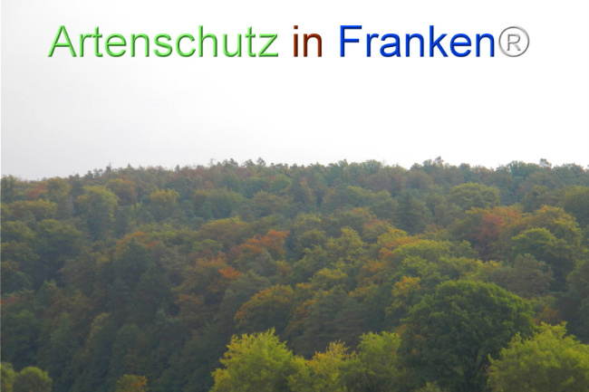 Bild zum Eintrag (1147989-160)