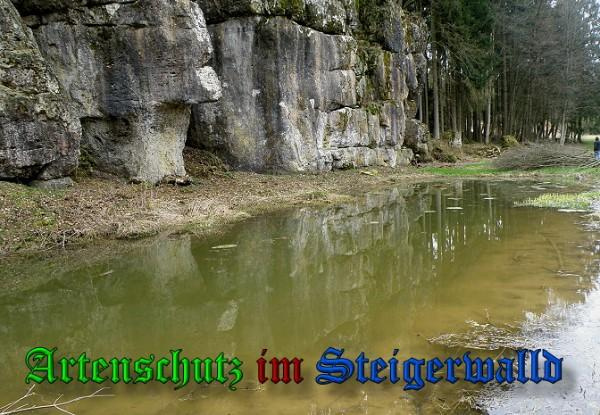 Bild zum Eintrag (1150306-160)