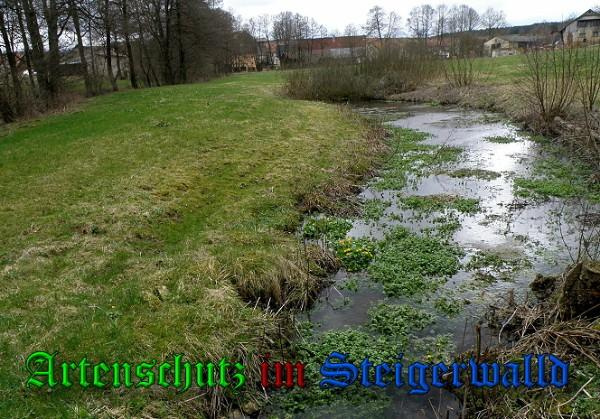 Bild zum Eintrag (1150315-160)