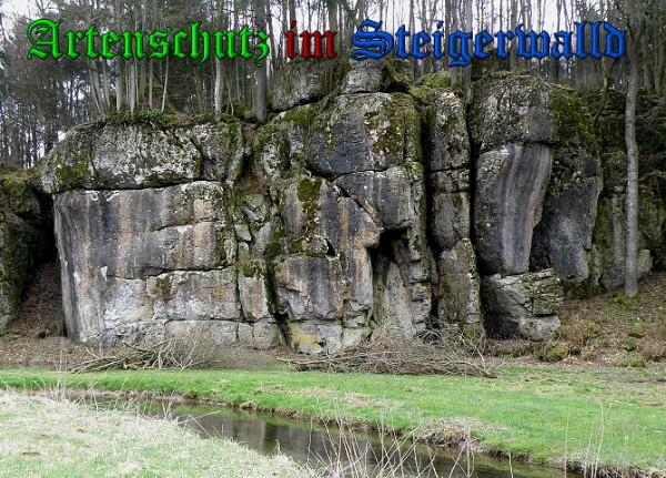 Bild zum Eintrag (1150318-160)