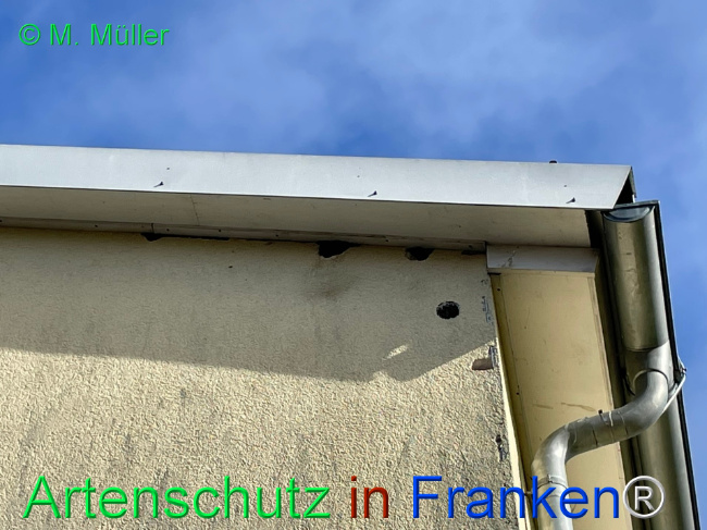 Bild zum Eintrag (1151083-160)