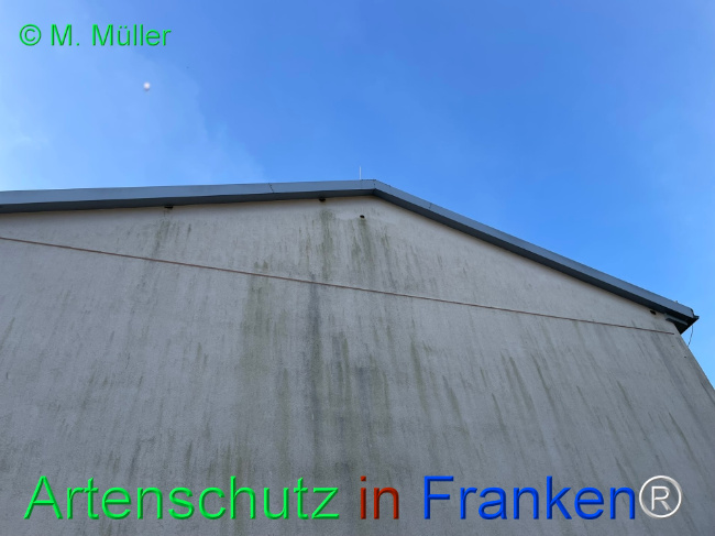 Bild zum Eintrag (1151084-160)