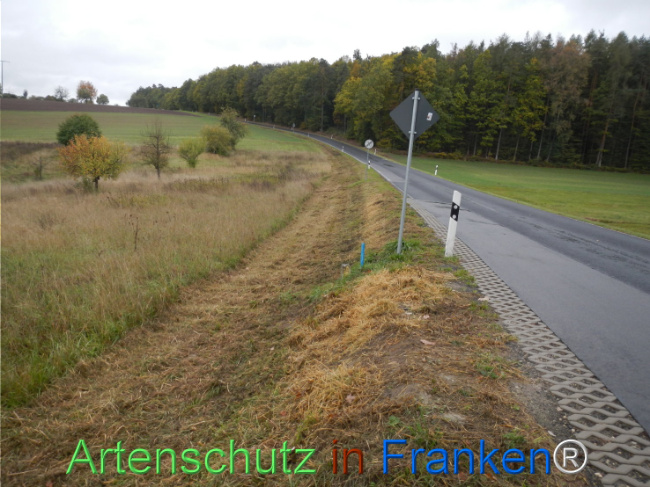 Bild zum Eintrag (1151222-160)
