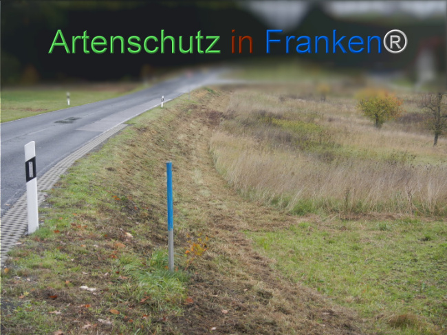 Bild zum Eintrag (1151228-160)