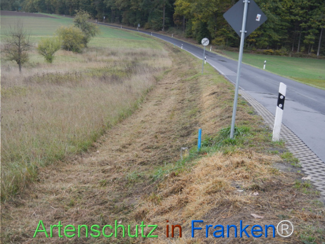 Bild zum Eintrag (1151229-160)