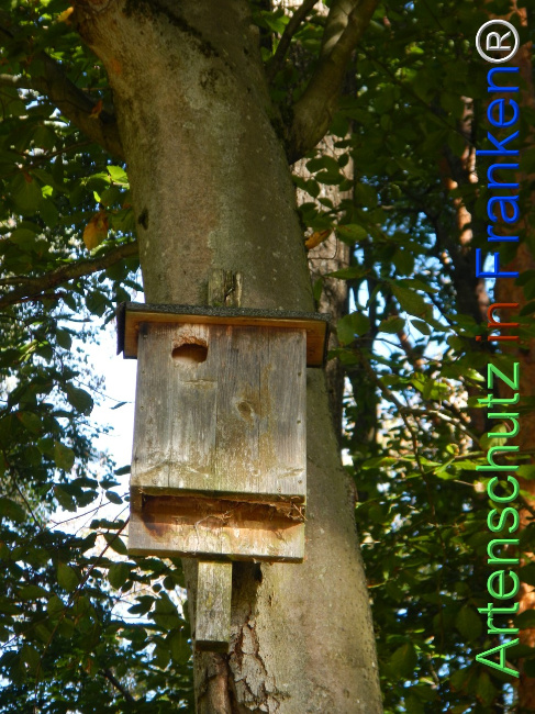 Bild zum Eintrag (1151667-160)