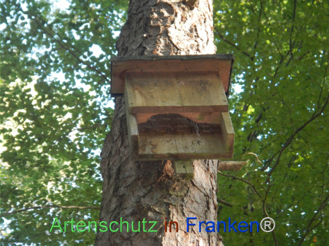 Bild zum Eintrag (1151671-160)