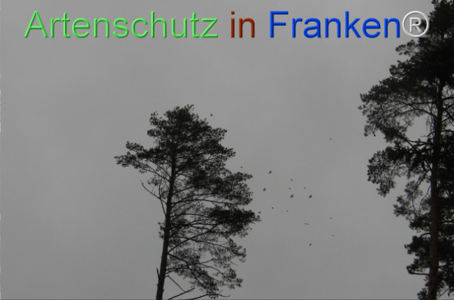 Bild zum Eintrag (1151720-160)
