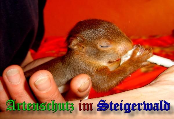 Copyright AiS / 2009 Tierschutzinitiative Haßberge e.V. Bild zum Eintrag (25535-160)