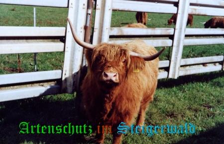 Copyright AiS / Tasch Bild zum Eintrag (25579-160)