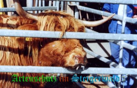 Copyright AiS / Tasch Bild zum Eintrag (25585-160)