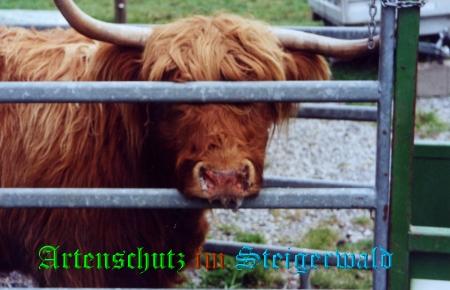 Copyright AiS / Tasch Bild zum Eintrag (25586-160)