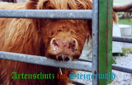 Copyright AiS / Tasch Bild zum Eintrag (25587-160)