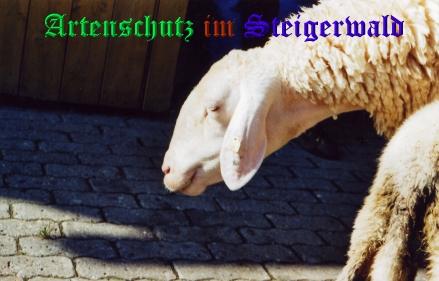 Copyright AiS / Tasch Bild zum Eintrag (25592-160)