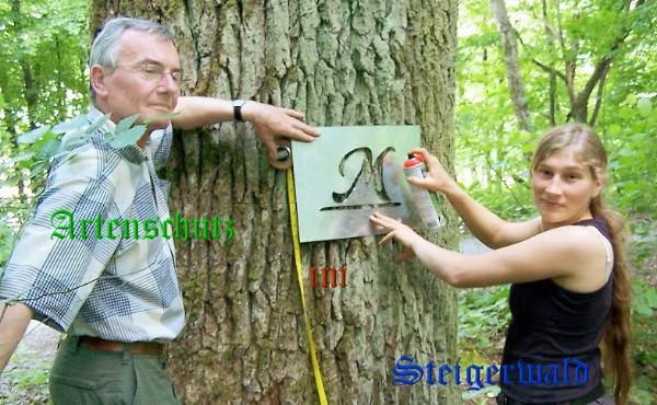 Copyright AiS / FT Autor Schreiber A Bild zum Eintrag (27194-160)