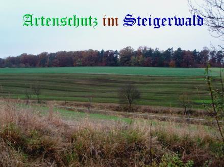 Bild zum Eintrag (27237-160)