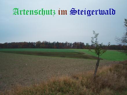 Bild zum Eintrag (27238-160)