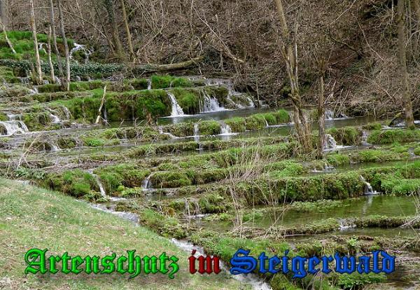 Copyright AiS / 2010 Albert Meier Bild zum Eintrag (28118-160)
