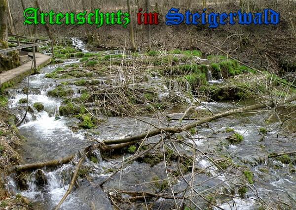 Copyright AiS / 2010 Albert Meier Bild zum Eintrag (28121-160)