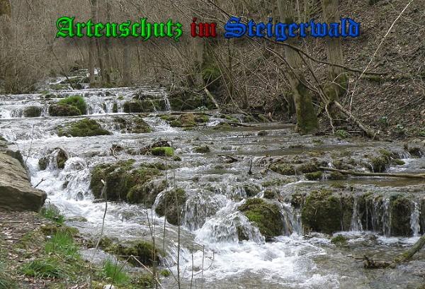 Copyright AiS / 2010 Albert Meier Bild zum Eintrag (28122-160)