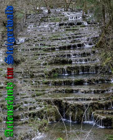 Copyright AiS / 2010 Albert Meier Bild zum Eintrag (28123-160)