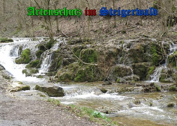 Copyright AiS / 2010 Albert Meier Bild zum Eintrag (28124-160)