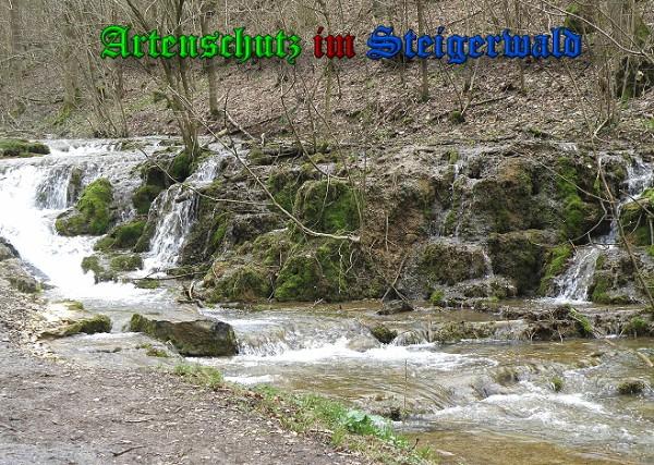 Bild zum Eintrag (28124-160)