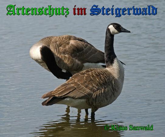 Copyright AiS / 2010 Klaus Sanwald Bild zum Eintrag (28146-160)