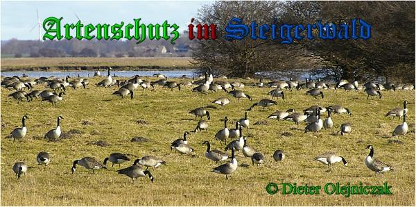 Copyright AiS / 2010 Dieter Olejniczak Bild zum Eintrag (28152-160)