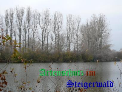 Copyright AiS / 2008 Frey Bild zum Eintrag (28178-160)