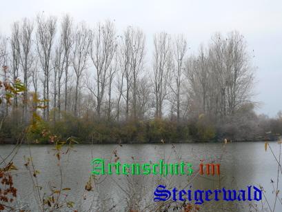 Bild zum Eintrag (28178-160)