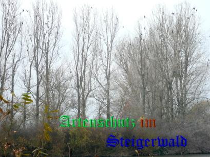 Copyright AiS / 2008 Frey Bild zum Eintrag (28179-160)