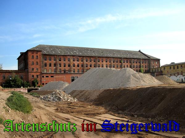 Copyright AiS / 2009 Köhler Bild zum Eintrag (28220-160)