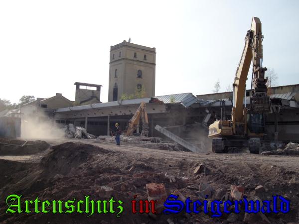 Copyright AiS / 2009 Köhler Bild zum Eintrag (28221-160)