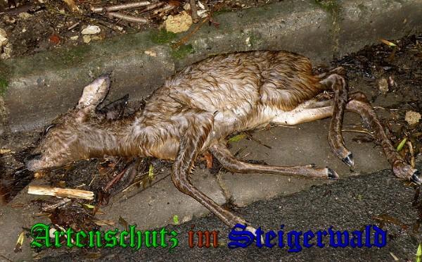 Copyright AiS / 2010 Bild zum Eintrag (29818-160)