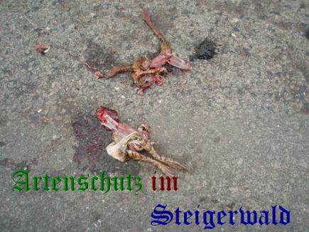 Copyright AiS / 2010 Bild zum Eintrag (29820-160)