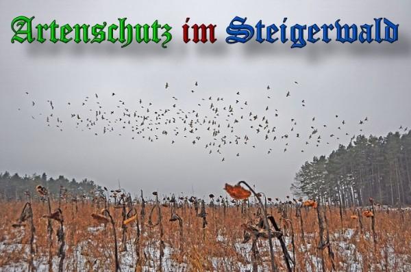 Copyright AiS / 2010 Rother Bild zum Eintrag (29862-160)