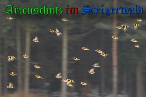 Copyright AiS / 2010 Rother Bild zum Eintrag (29863-160)