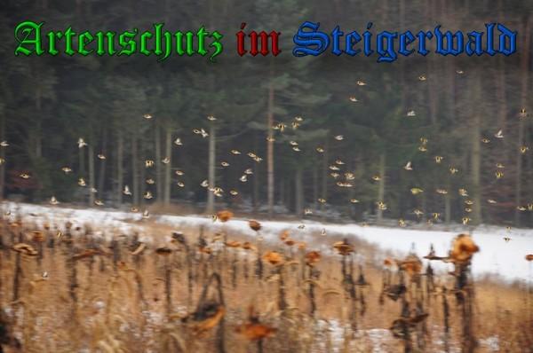 Copyright AiS / 2010 Rother Bild zum Eintrag (29864-160)