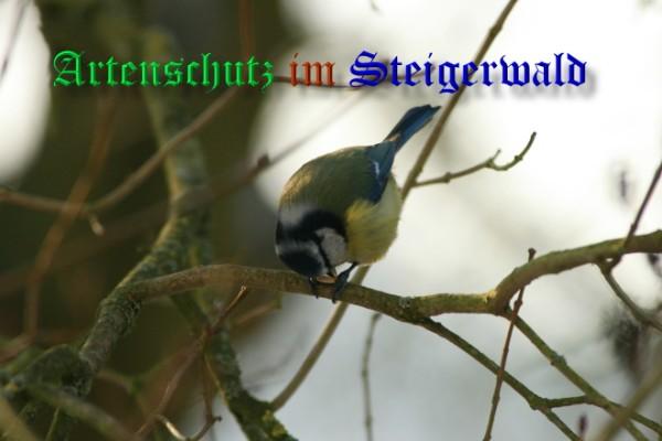 Copyright AiS / 2009 - Christian Utter Bild zum Eintrag (30462-160)