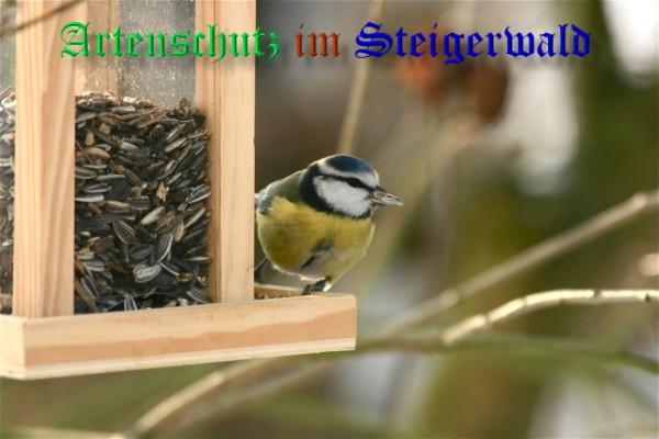 Copyright AiS / 2009 - Christian Utter Bild zum Eintrag (30463-160)