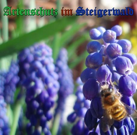 Copyright AiS / 2009 Schrei Bild zum Eintrag (31669-160)