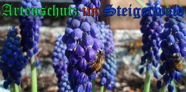 Copyright AiS / 2009 Schrei Bild zum Eintrag (31670-160)