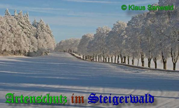 Copyright AiS-Klaus Sanwald Bild zum Eintrag (33269-160)