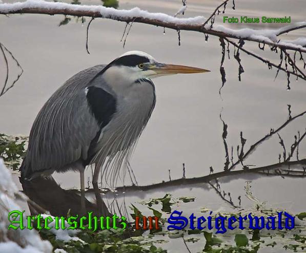 Copyright AiS Klaus Sanwald Bild zum Eintrag (34238-160)