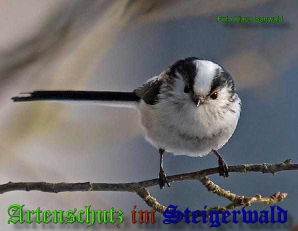 Copyright AiS-Klaus Sanwald Bild zum Eintrag (34239-160)