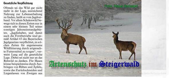 Copyright AiS Fränkischer Tag Bild zum Eintrag (34258-160)