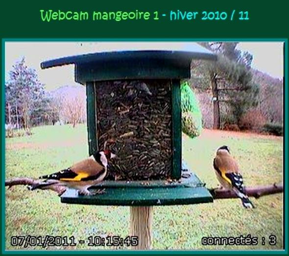 Copyright AiS - http://j.c.photonature.pagesperso-orange.fr/refuge07/index.htm Bild zum Eintrag (34317-160)